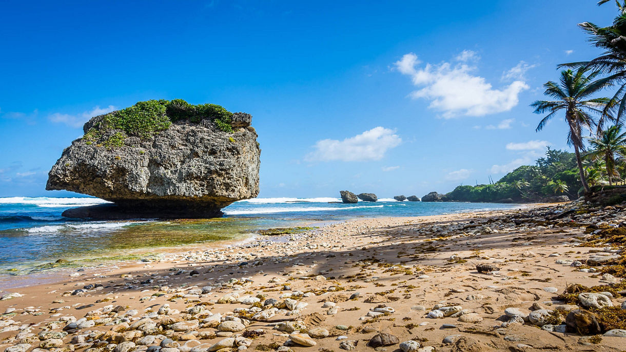 Guided Photography Tour, Bathsheba & Scenic Drive