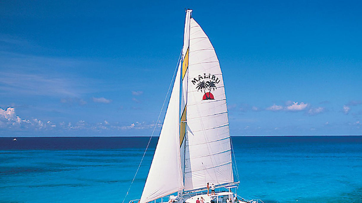 Five Star Sail, Turtle Encounter & Lunch