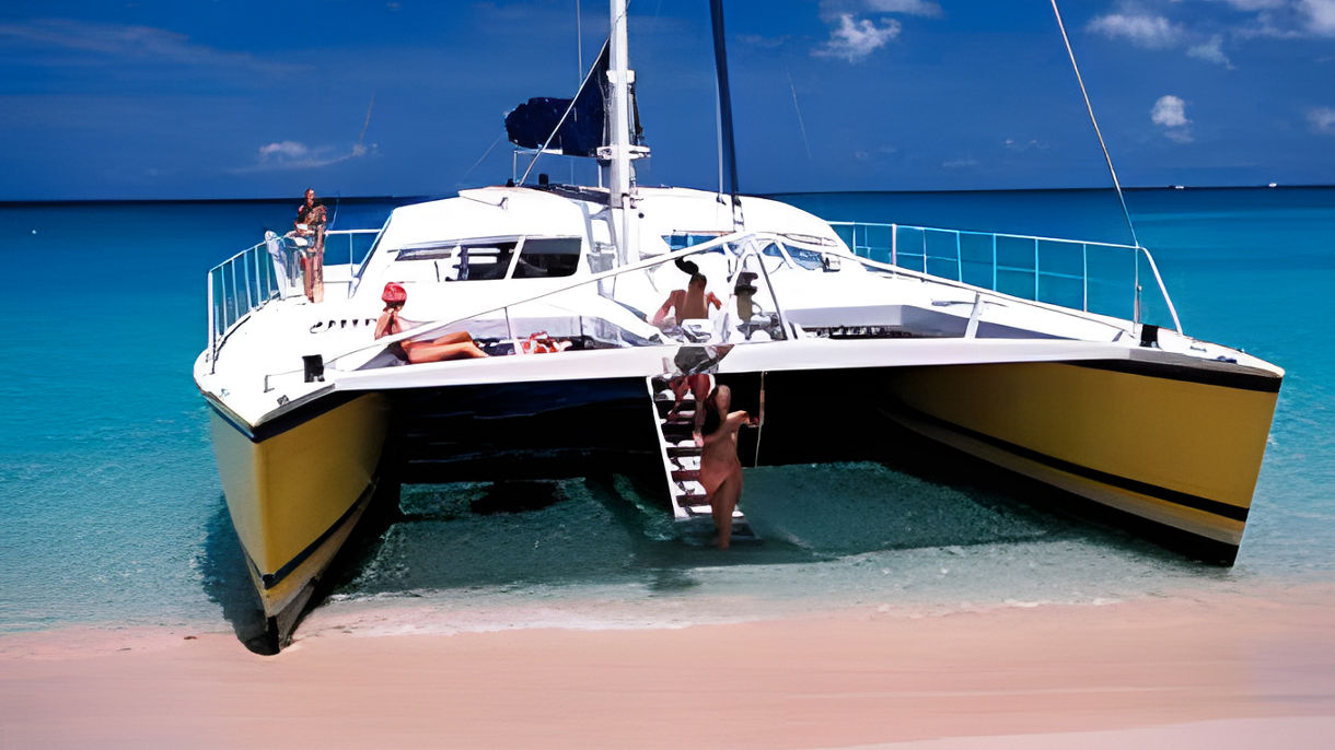 Five Star Sail, Turtle Encounter & Lunch