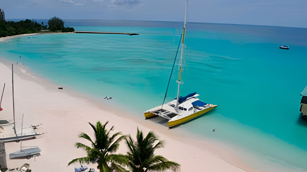 Five Star Sail, Turtle Encounter & Lunch