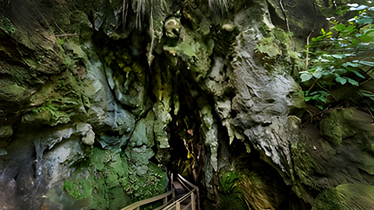 Glow Worm Caves Express