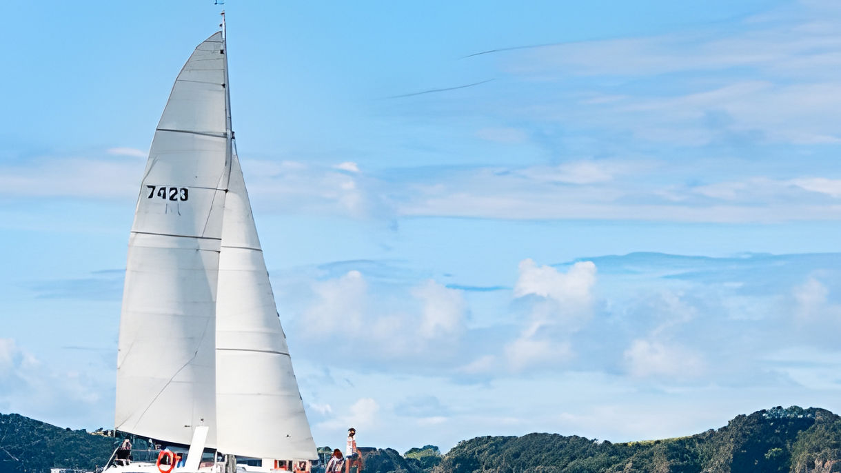 Lagoon Bay Cruise