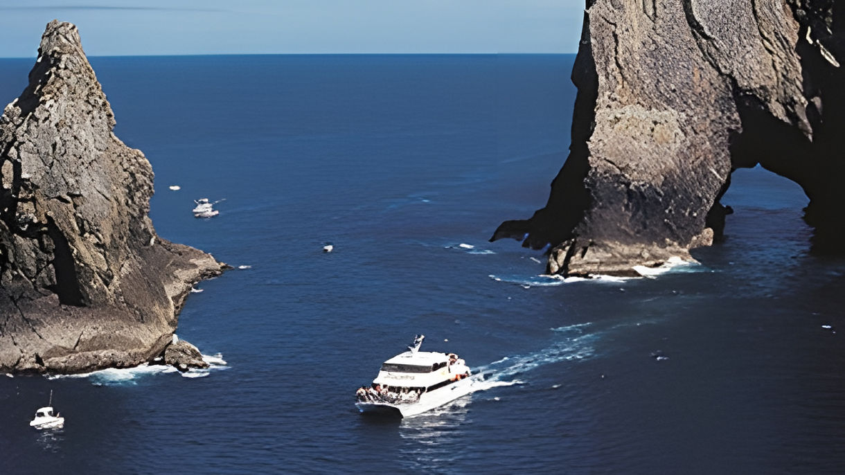 Best of Bay of Islands: Cruise & "Hole in the Rock"
