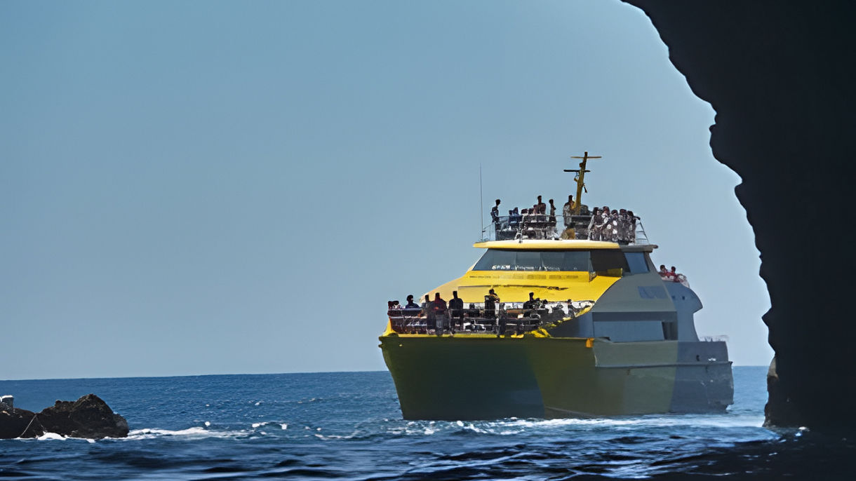 Best of Bay of Islands: Cruise & "Hole in the Rock"