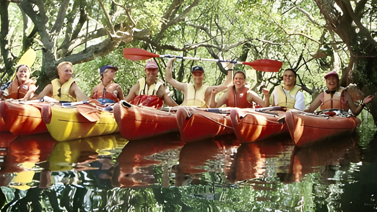Haruru Falls Kayaking