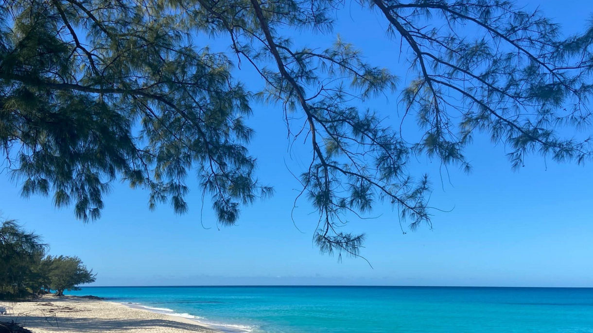 Open Air Tram & Authentic Bahamian Culture Tour