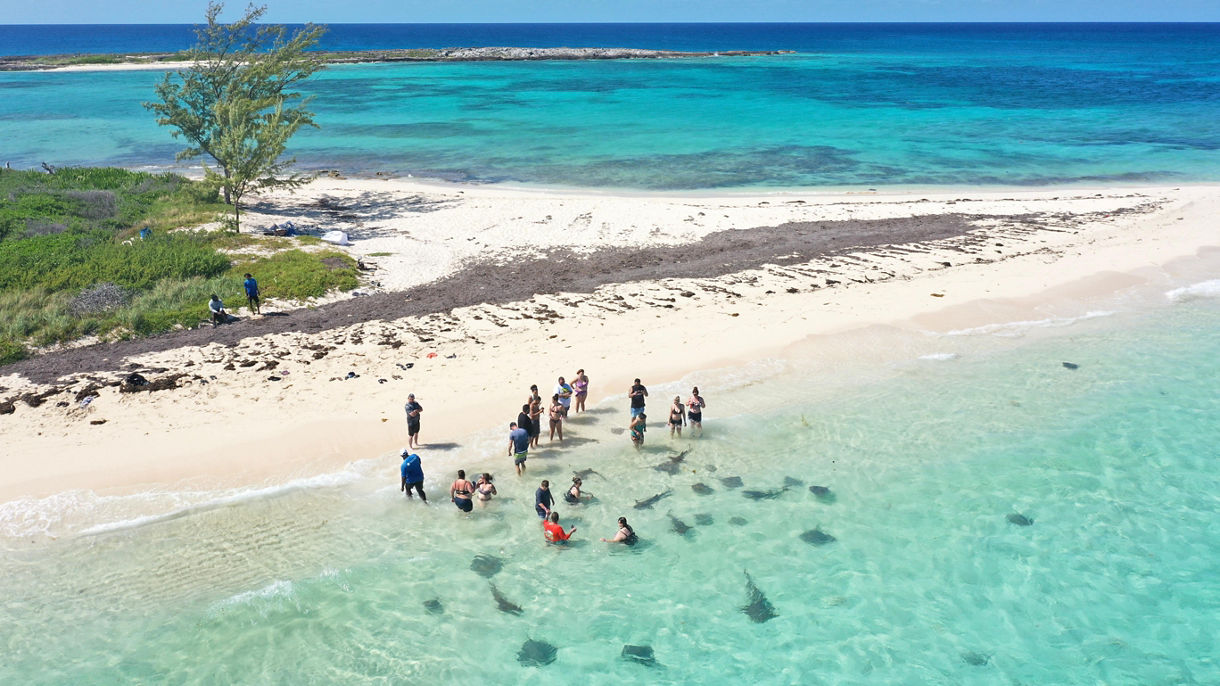 Stingray Adventure