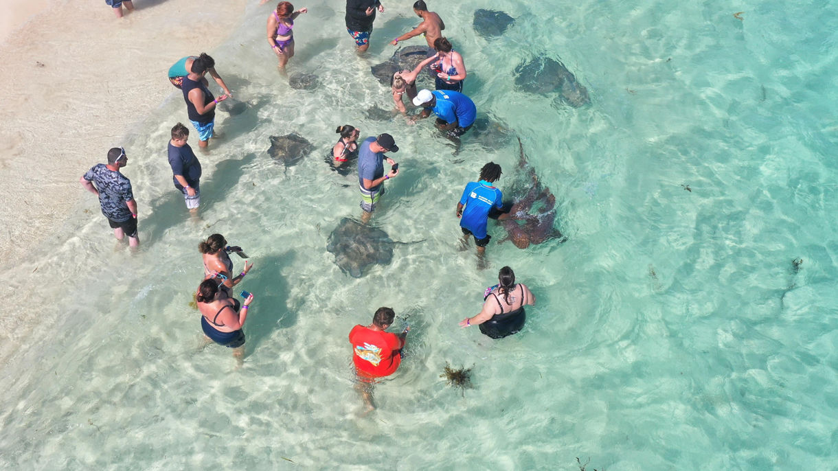 Stingray Adventure