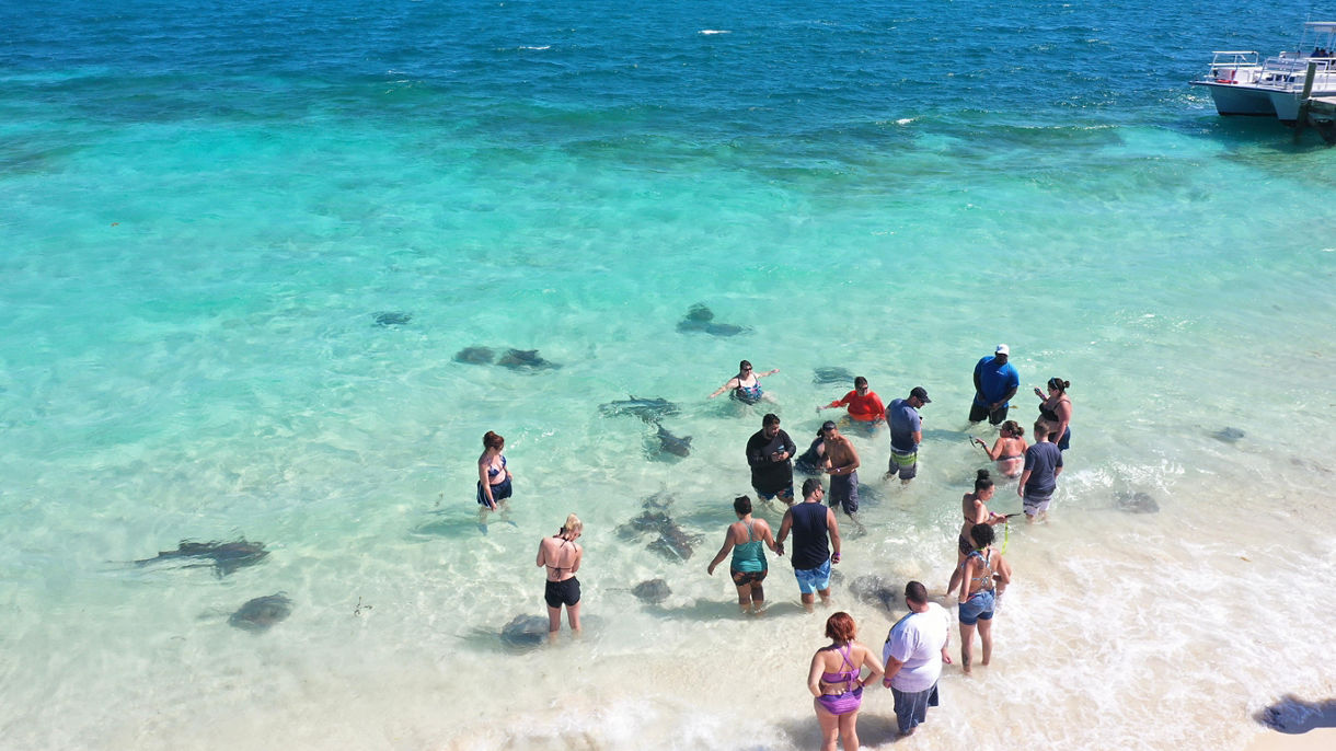 Stingray Adventure