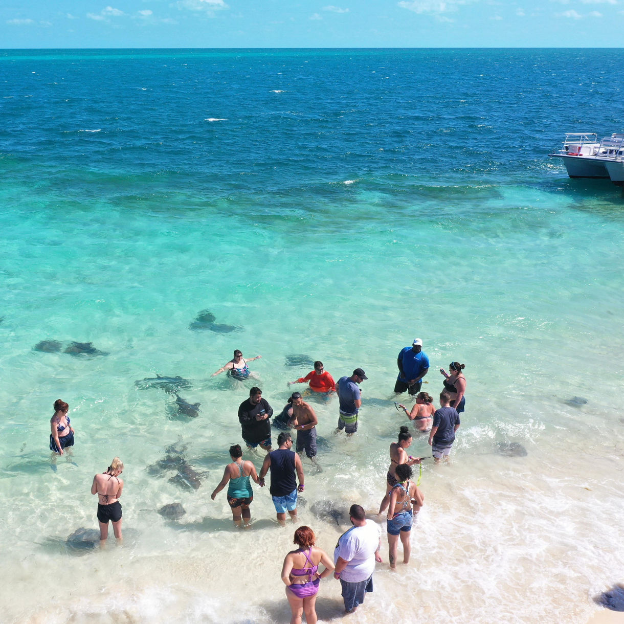 Stingray Adventure