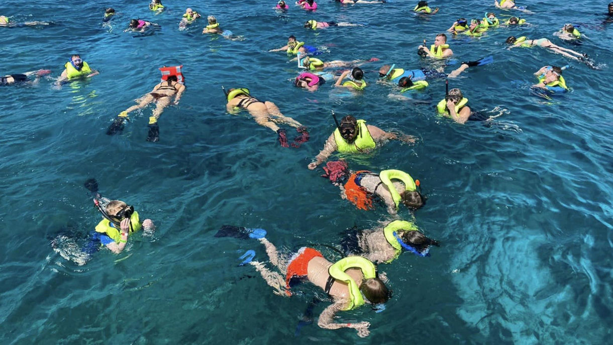 Reef Shark Snorkeling Adventure & Glass Bottom Boat