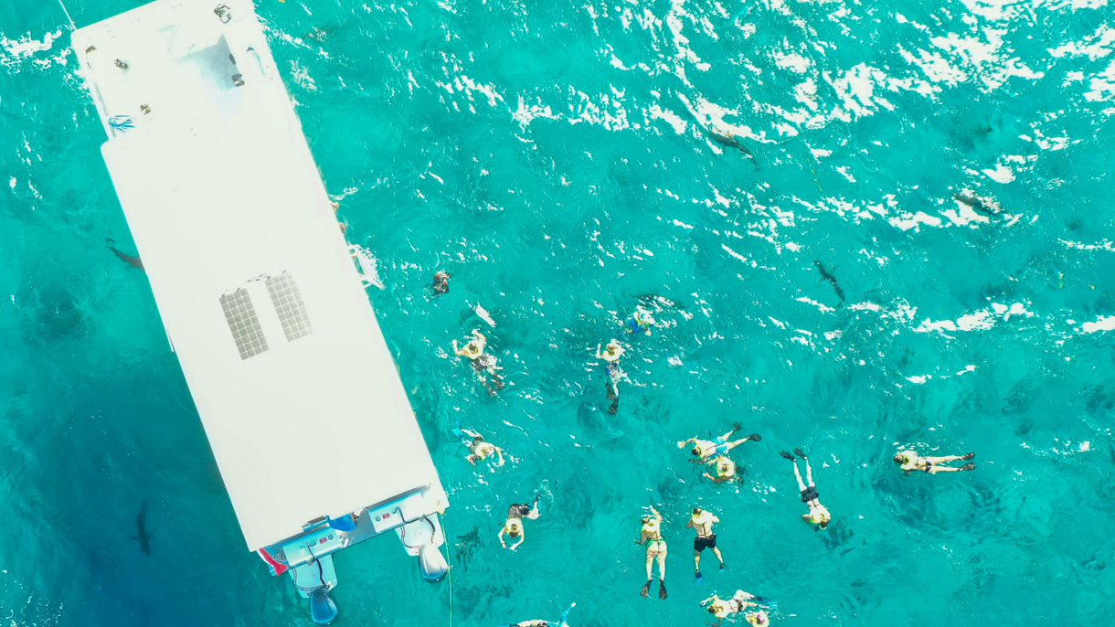 Reef Shark Snorkeling Adventure & Glass Bottom Boat