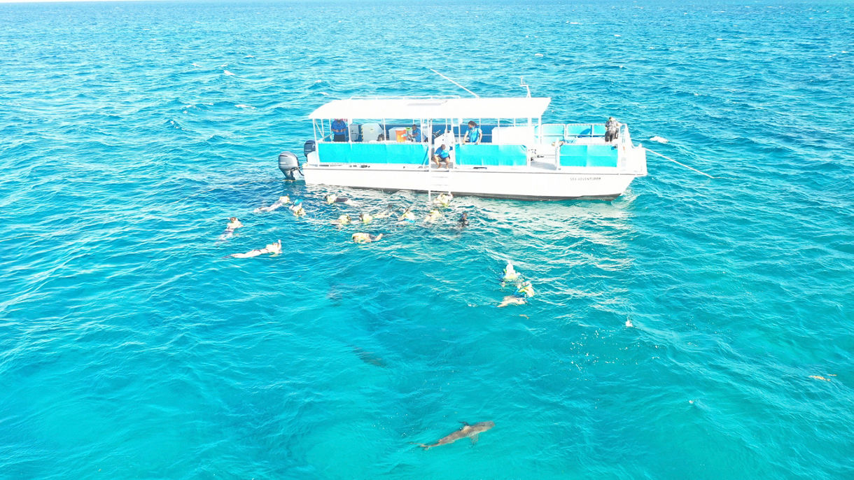 Reef Shark Snorkeling Adventure & Glass Bottom Boat