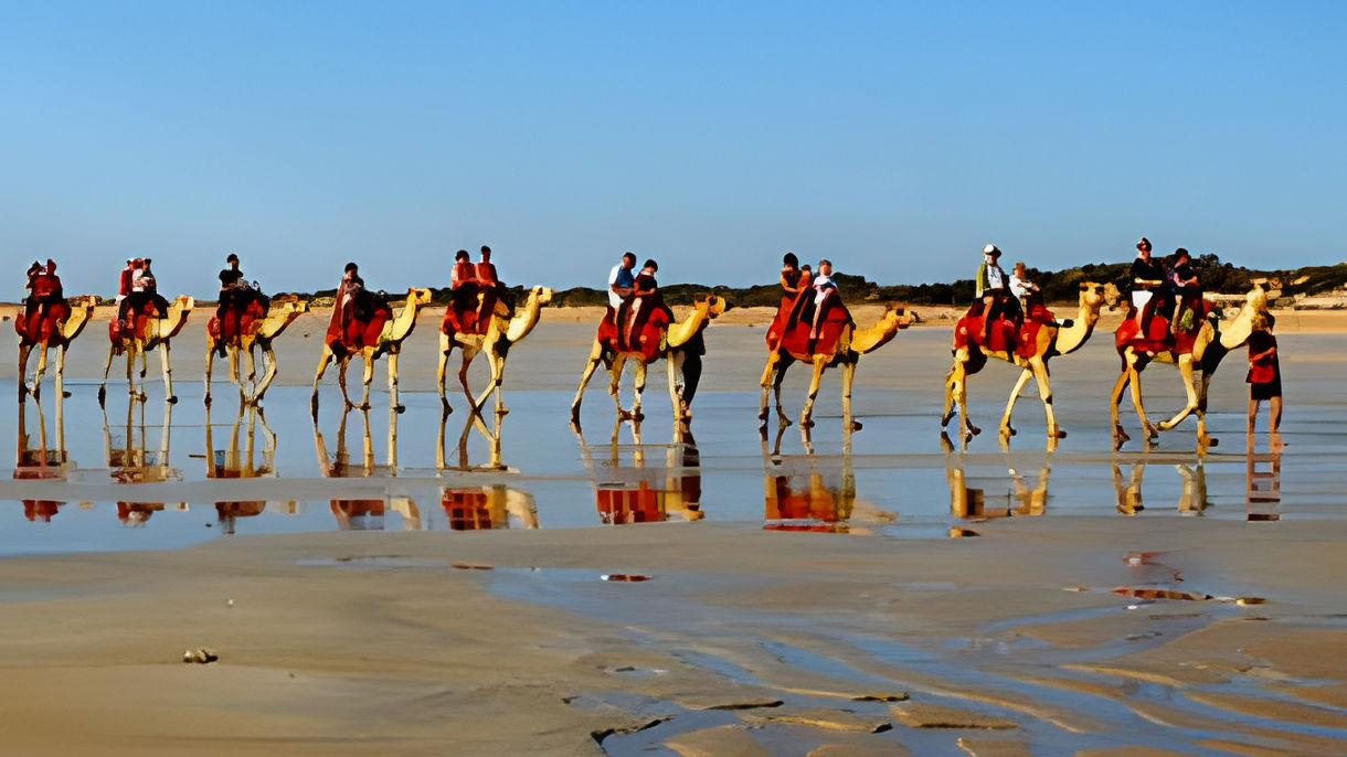 Camel Rides on Cable Beach