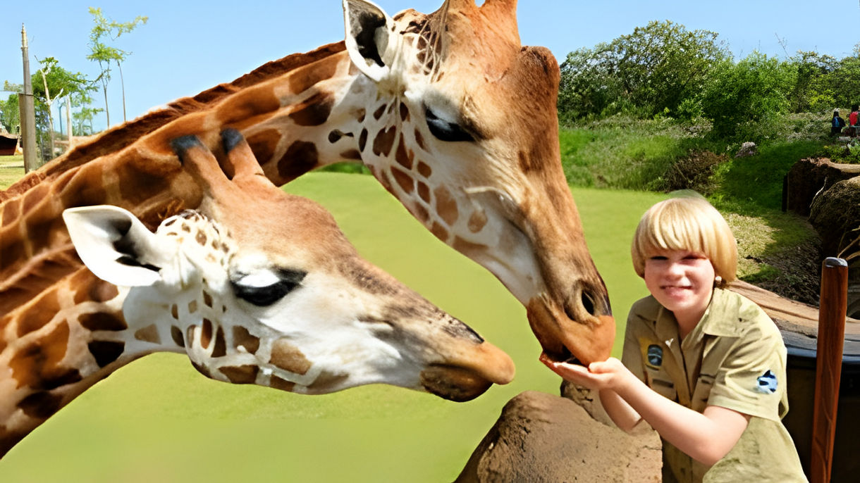 Best Of Brisbane: CRIKEY! It's Australia Zoo