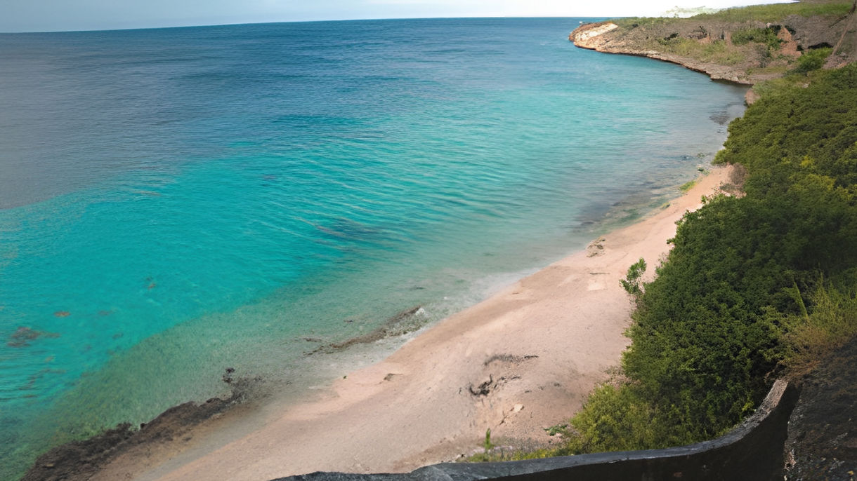 Best of Bonaire: Goto Lake, Cultural Park & Scenic Drive