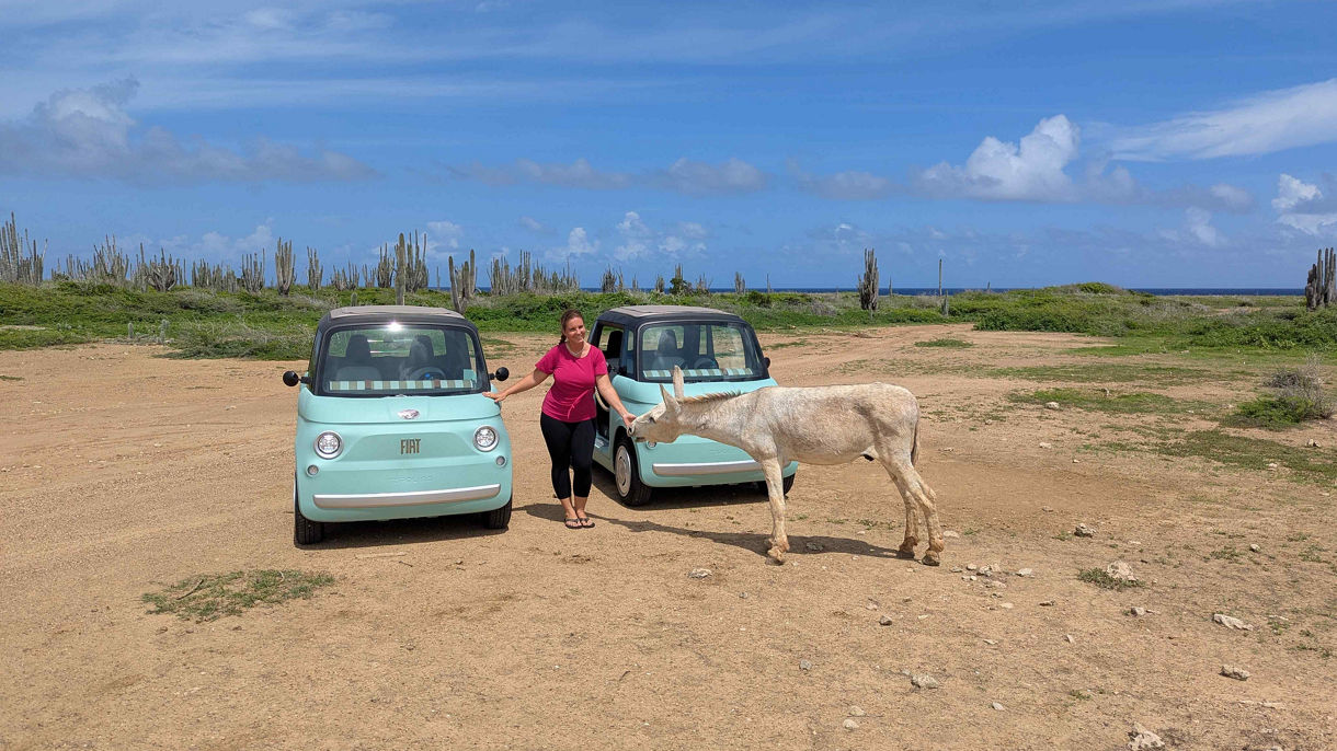 Explore Bonaire by Electric Fiat Topolino