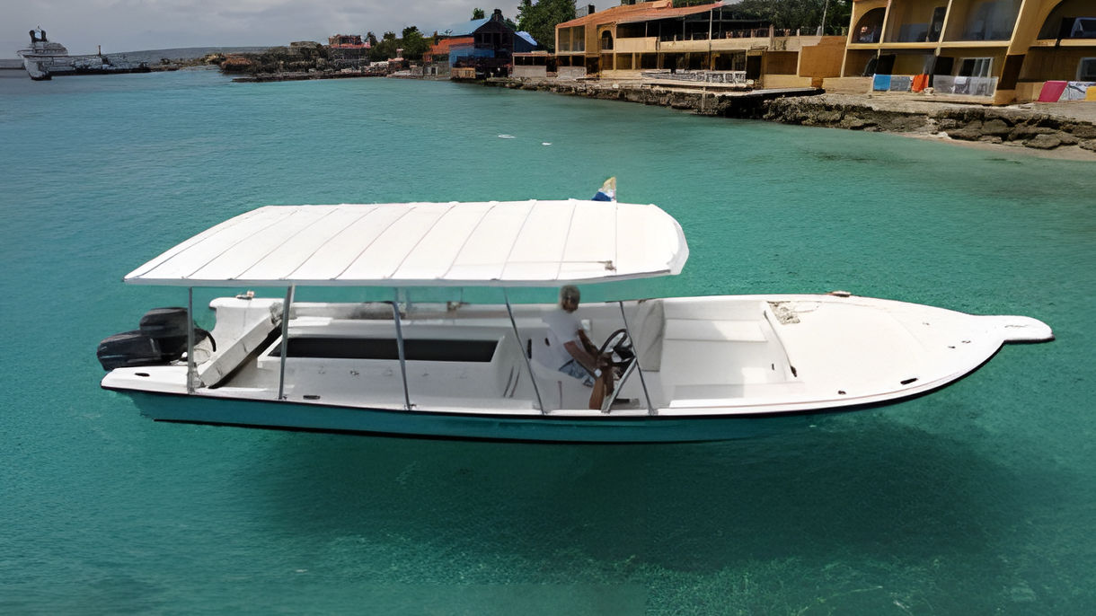 Local Connections: Glass-Bottom Boat Eco-Cruise & Bonaire Marine Park with Naturalist