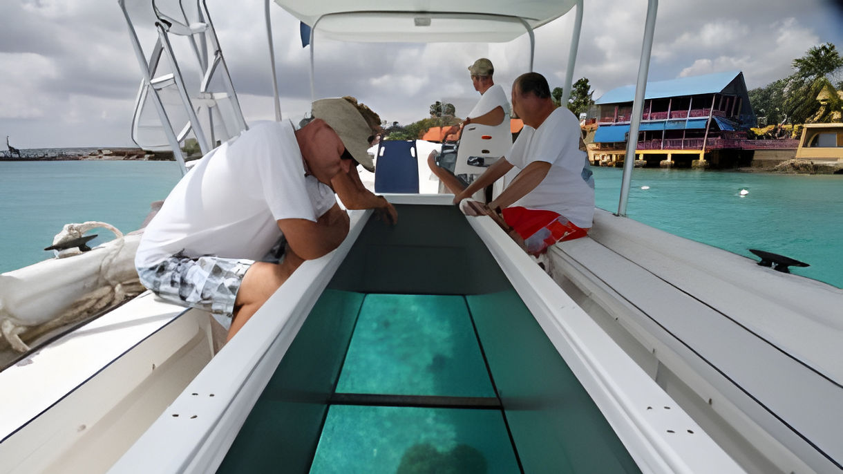 Local Connections: Glass-Bottom Boat Eco-Cruise & Bonaire Marine Park with Naturalist