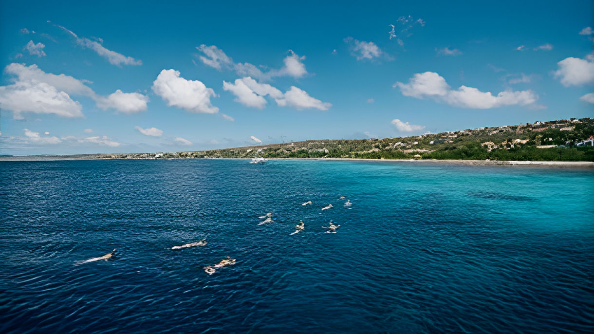 Bonaire Marine Park Snorkel & Beach Break at Klein Bonaire