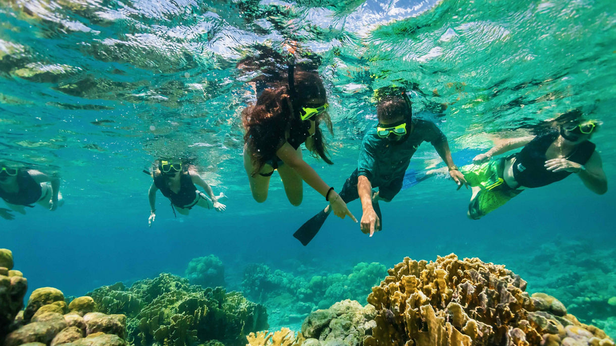 Electro Catamaran Snorkel Safari