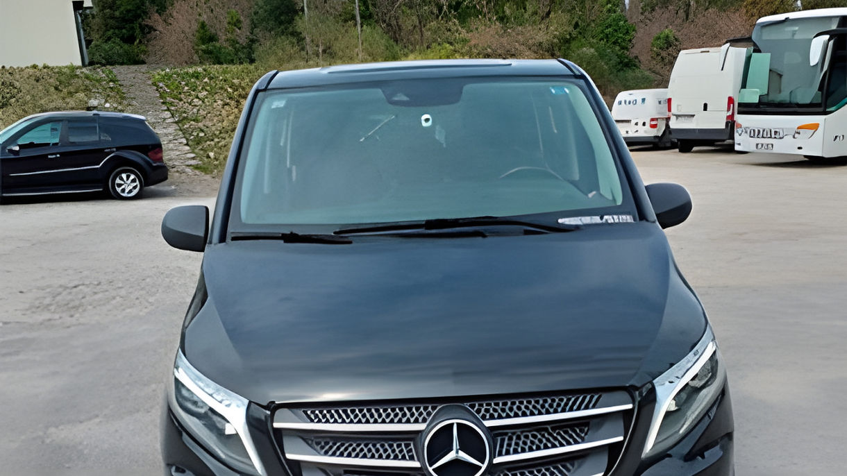 Private Van - Full Day with Guide