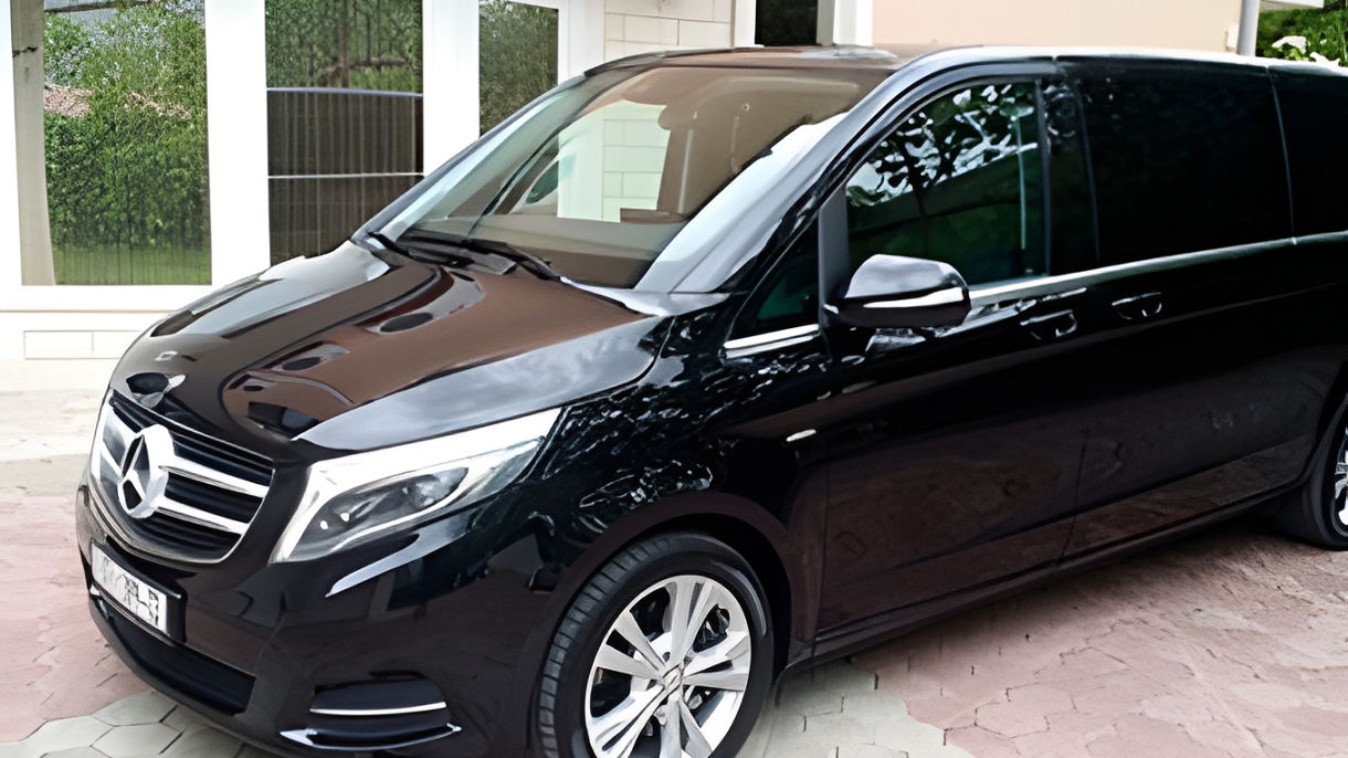 Private Van - Half Day with Guide