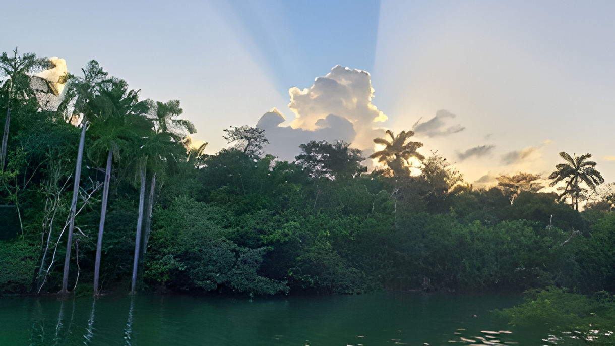 Scenic Wildlife River Cruise
