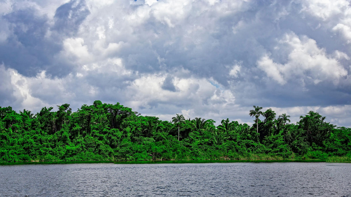 Howler Monkey Sanctuary & Creole Heritage