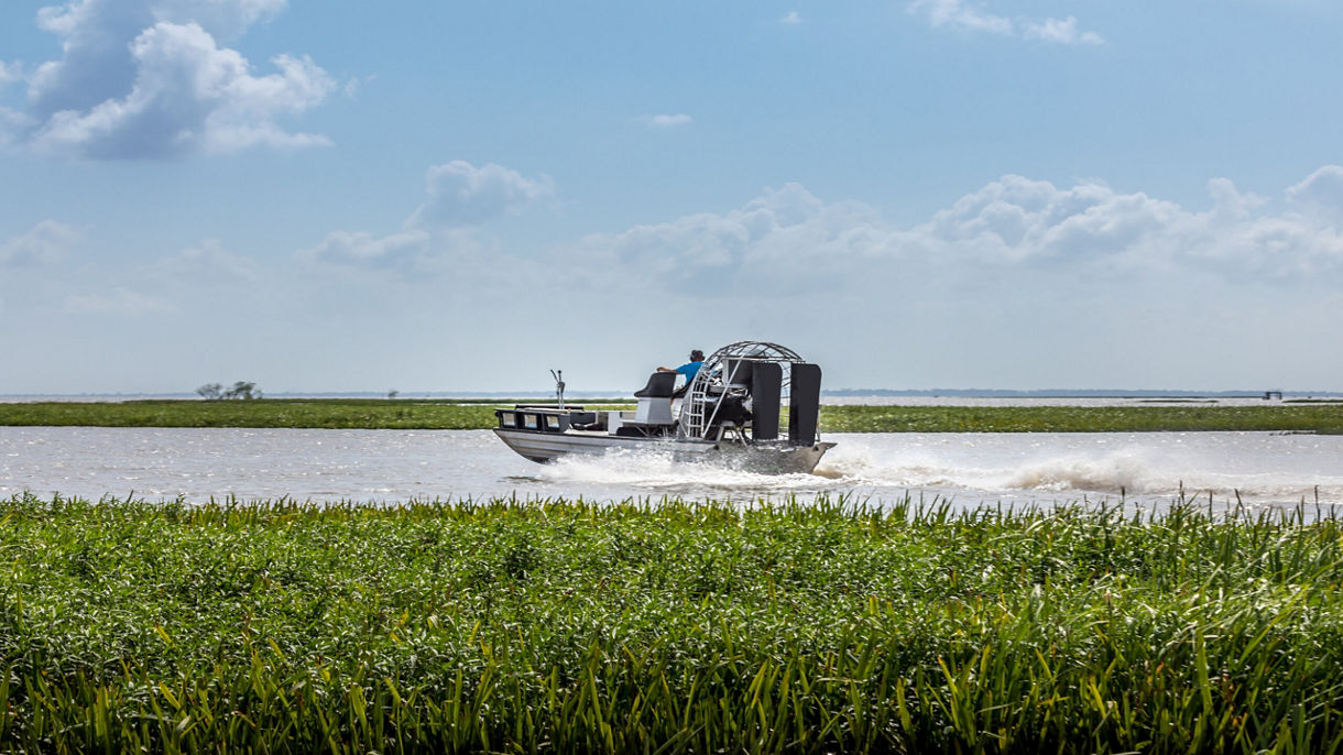 Airboat Wetland and Mangrove Cruise & City Drive