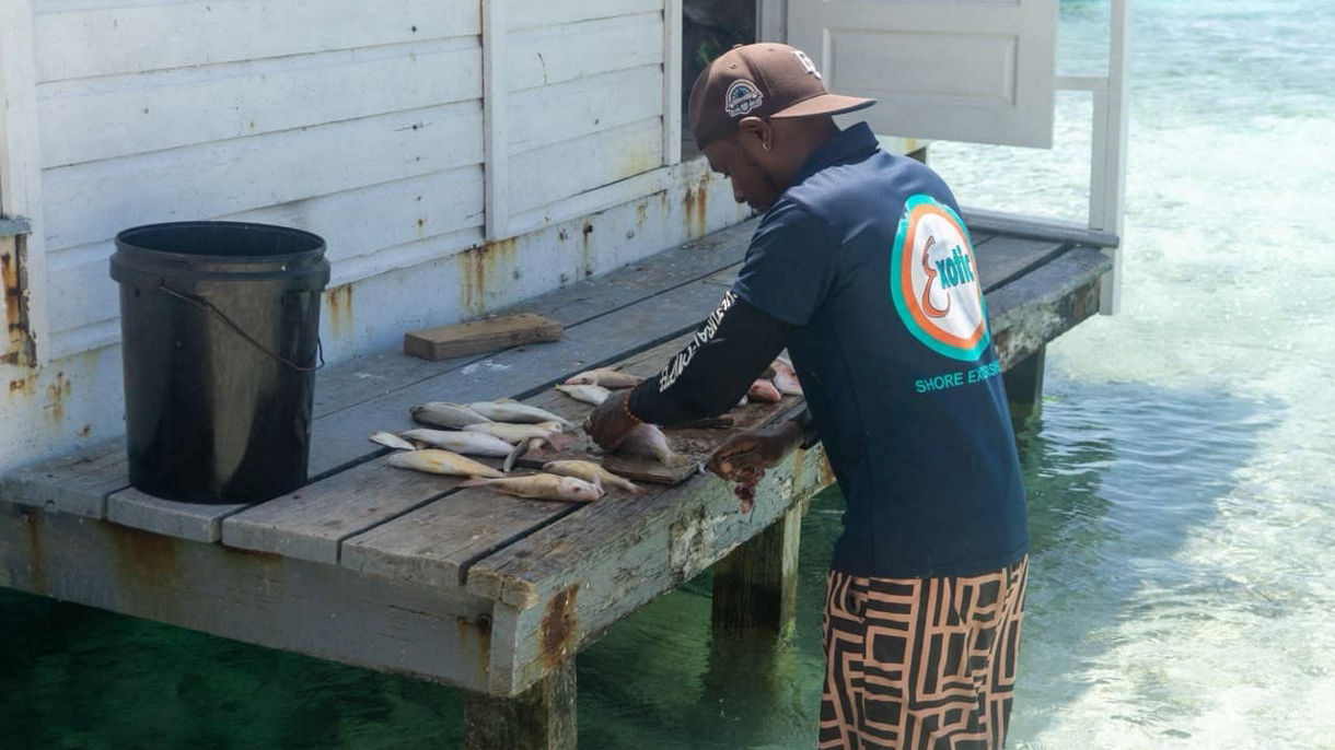 Cook your Catch Fishing Adventure
