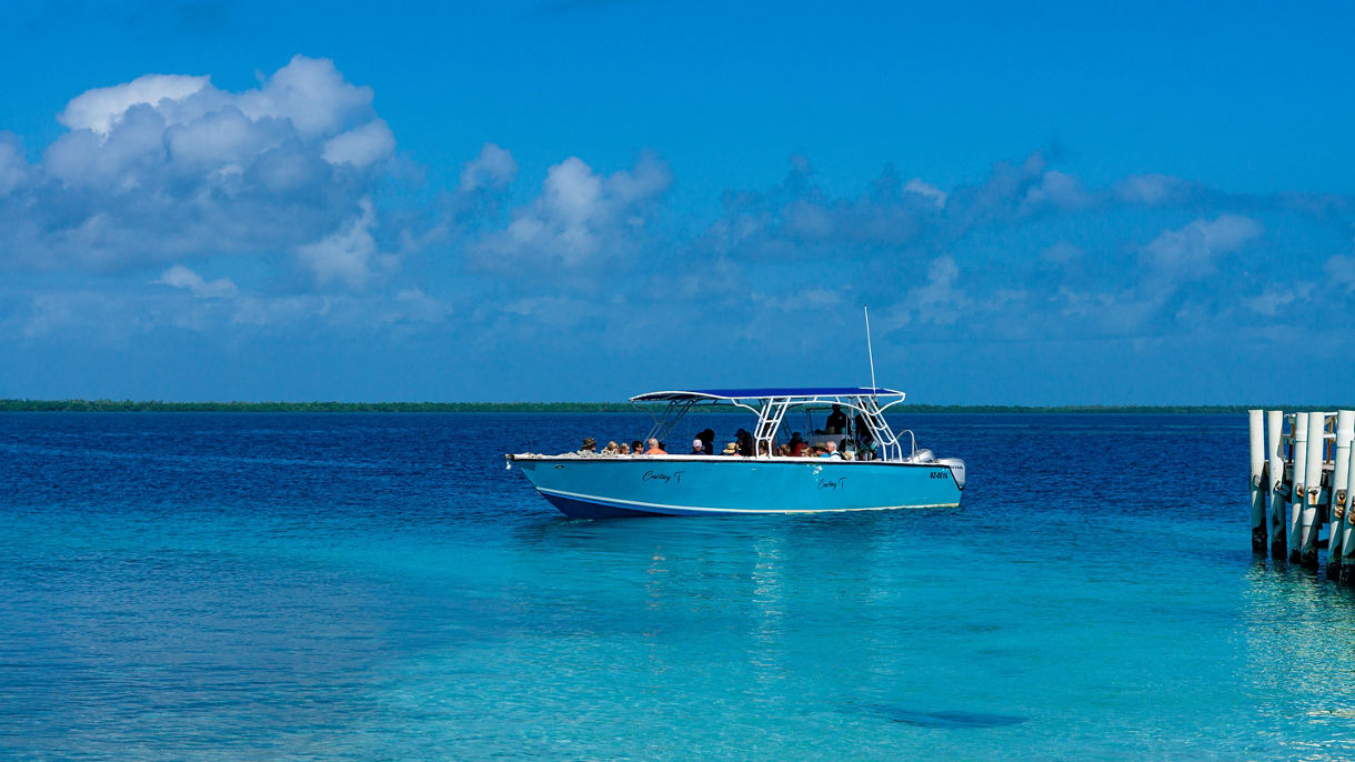 Cook your Catch Fishing Adventure