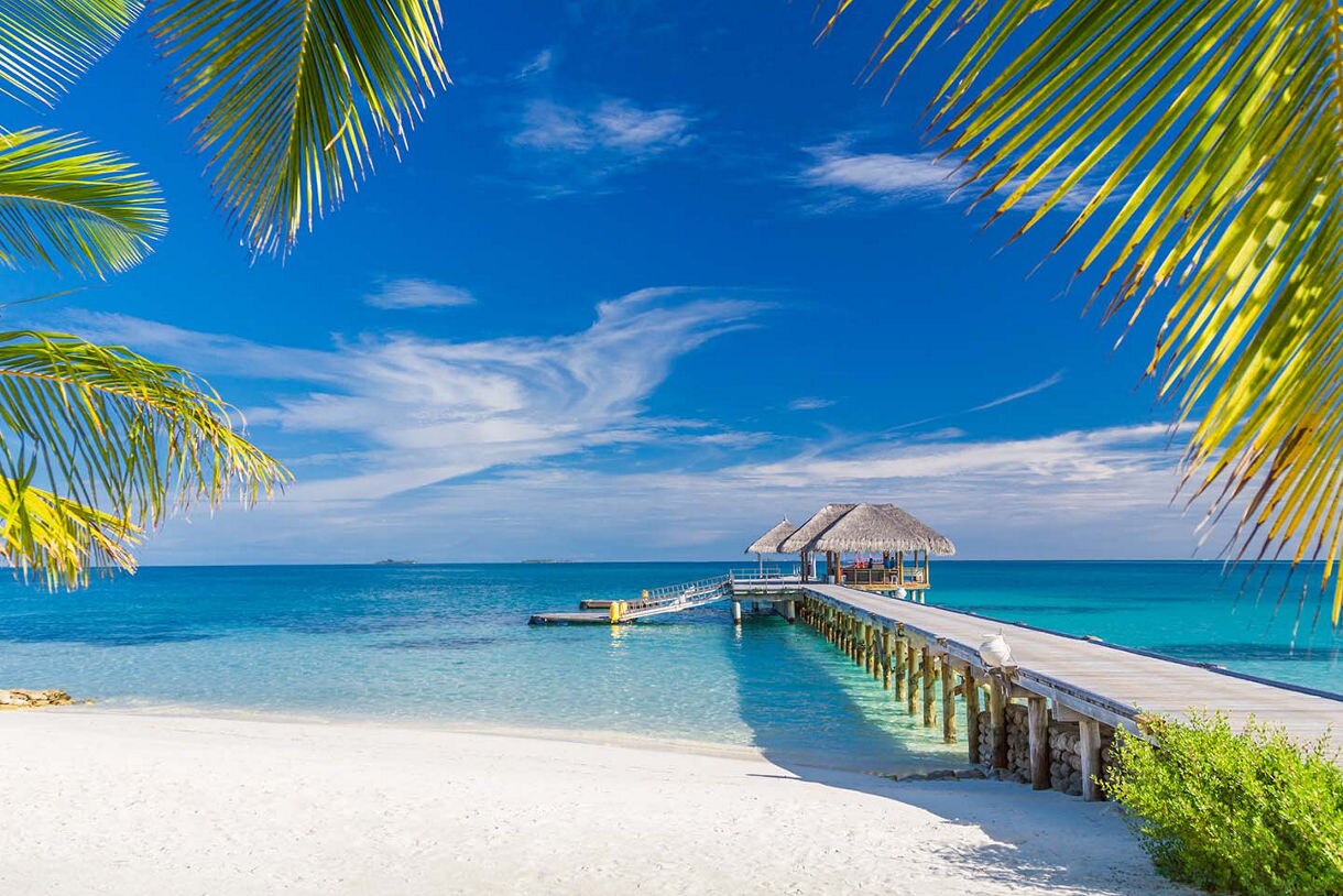 Palm-fringed beach with white sand and a wooden pier stretching into clear turquoise water under a bright blue sky.