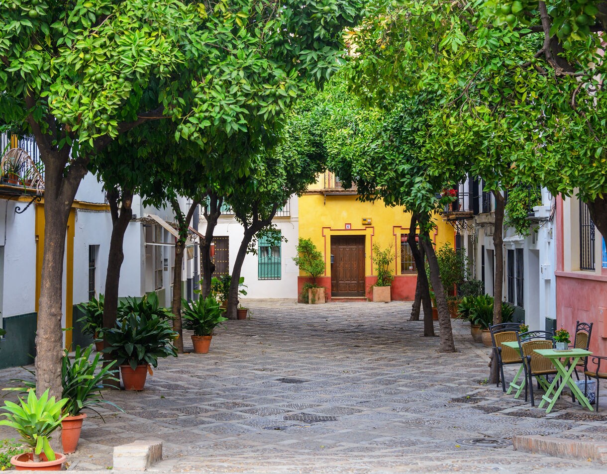 Quiet courtyard in Seville’s Barrio Santa Cruz lined with orange trees, potted plants and pastel buildings, with a small green café table to the right.