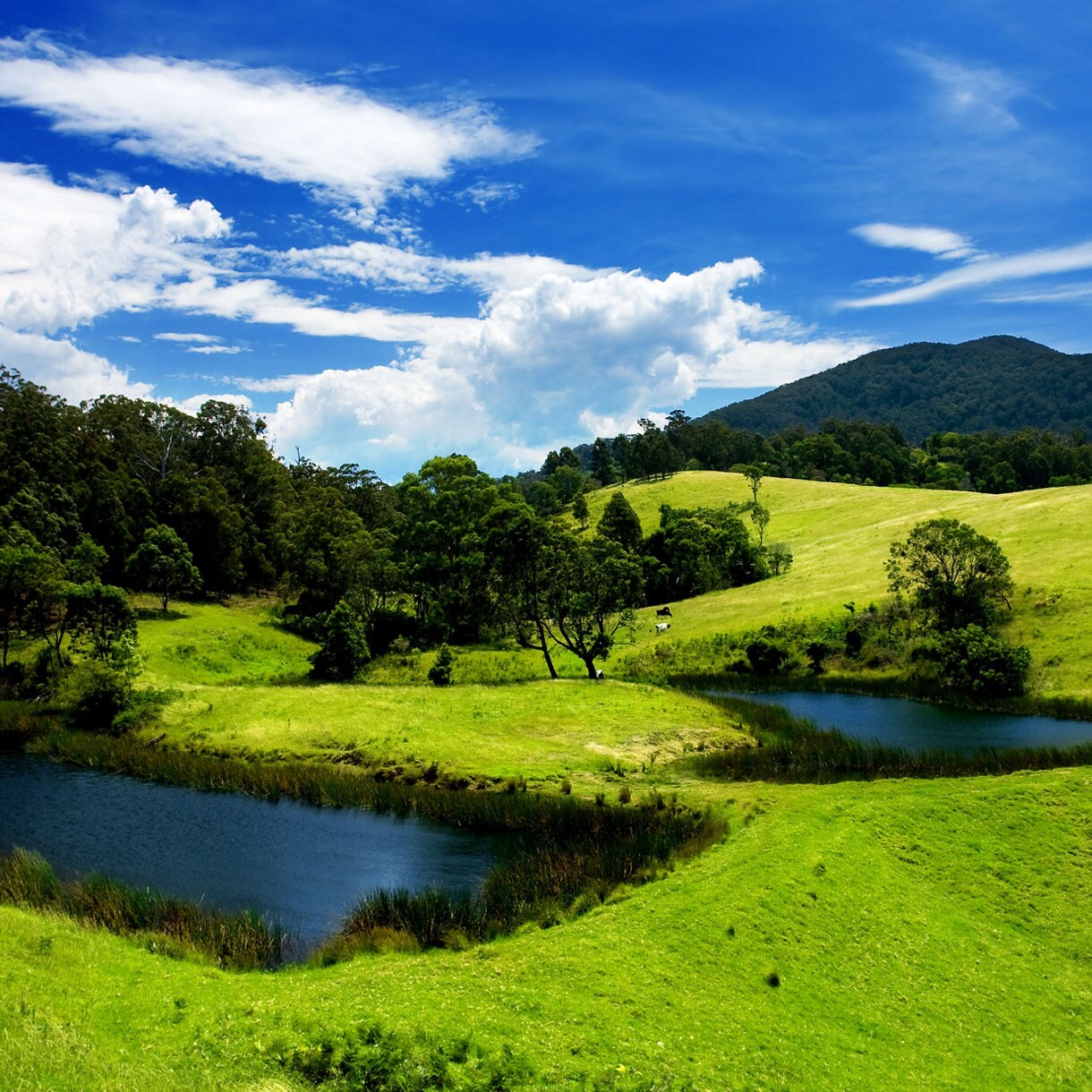 Lush green hills with two small blue ponds surrounded by trees, with forested mountains in the distance under a bright blue sky.