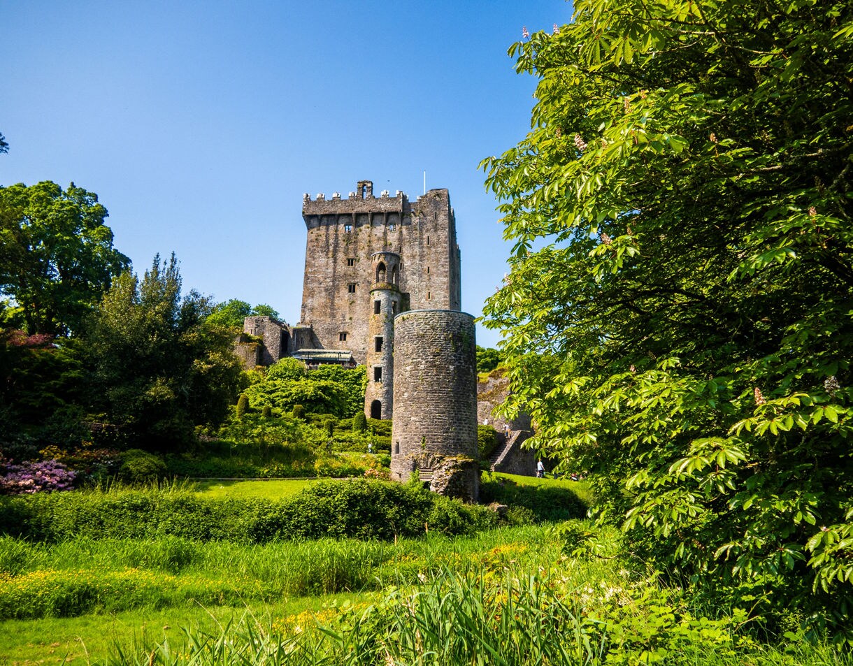 Stone tower of Blarney Castle rising above vibrant gardens and trees, with a smaller round turret in the foreground under a clear blue sky.