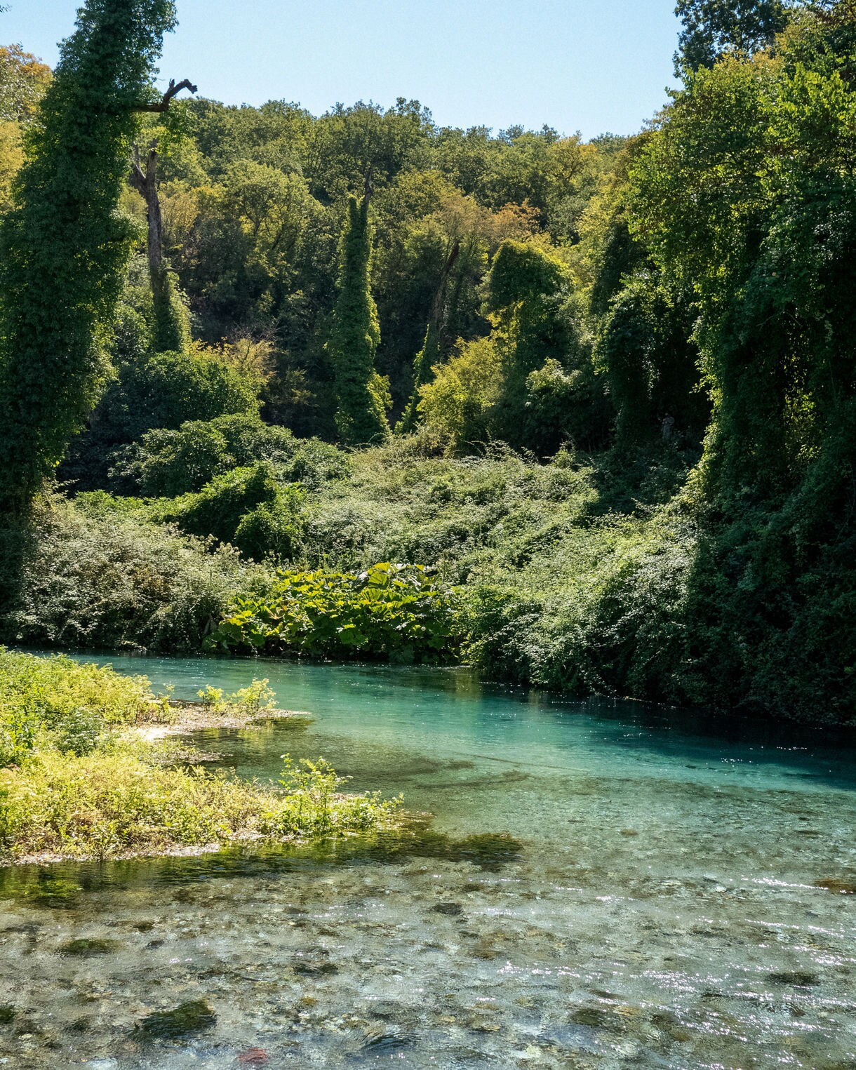 Lush green trees and thick vegetation surrounding the vivid turquoise waters of the Blue Eye natural spring in Albania, with sunlight reflecting across the clear shallows.