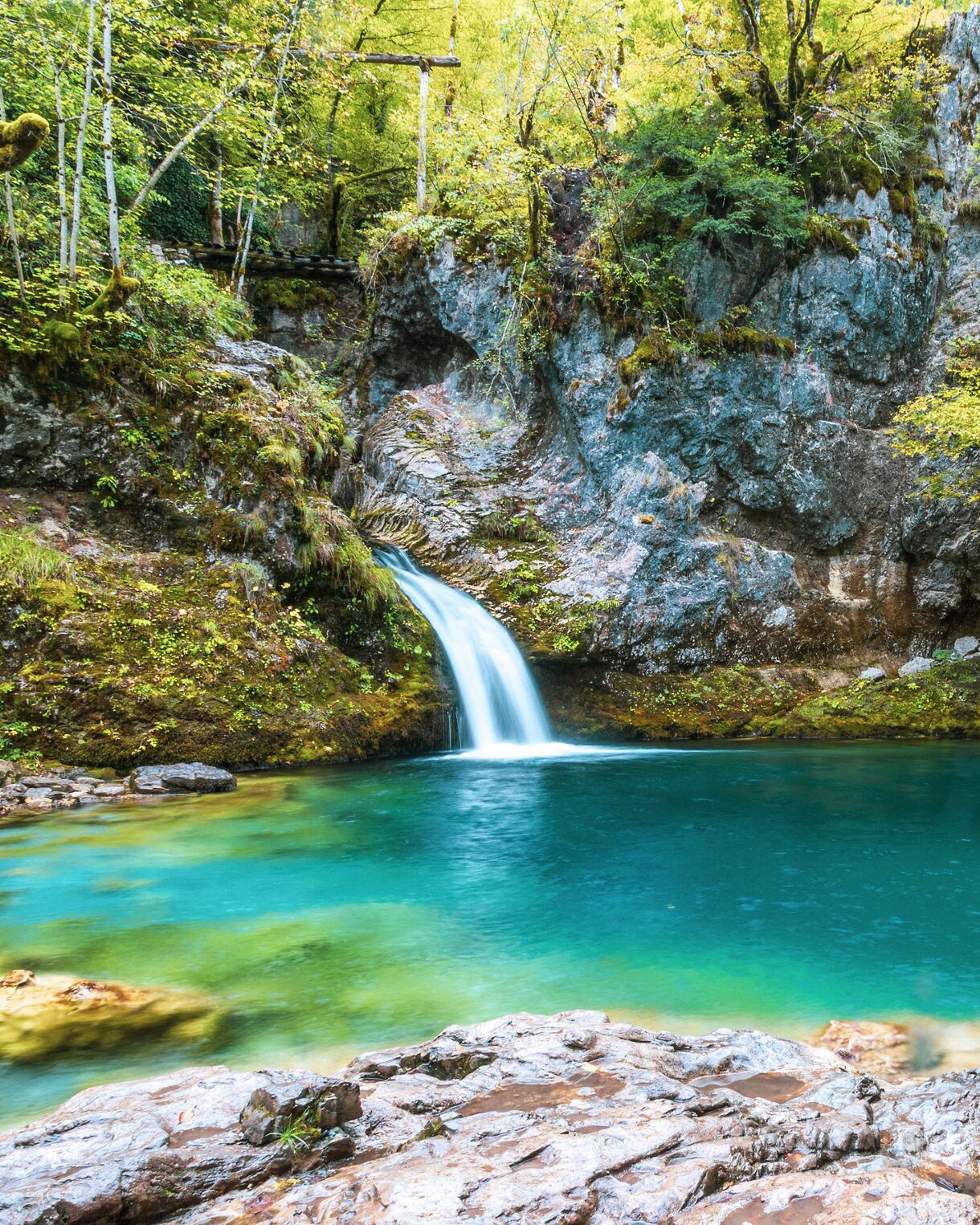 Vibrant turquoise pool fed by a small waterfall surrounded by lush green forest and rocky cliffs at the Blue Eye spring in Albania.