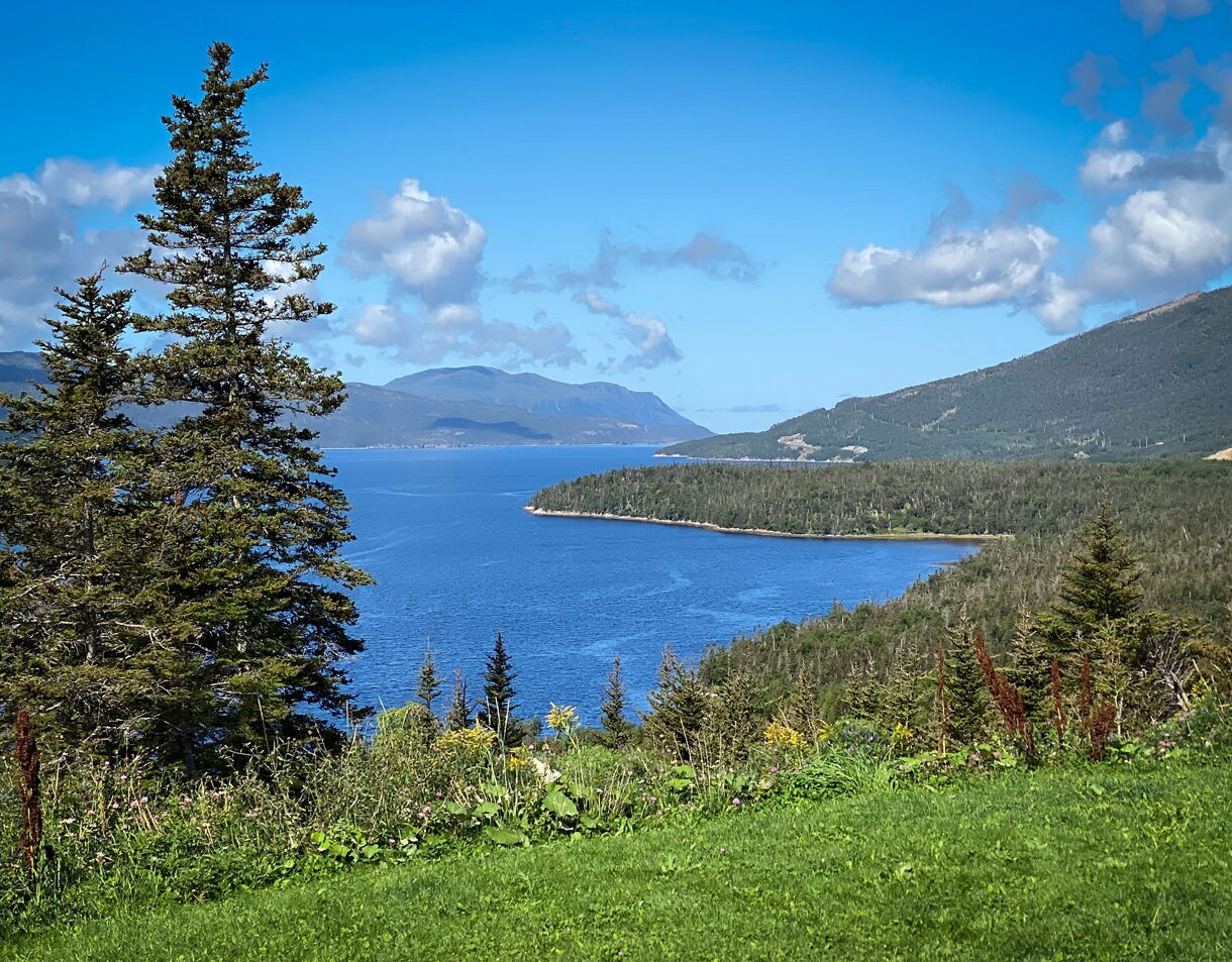 Panoramic view of Bonne Bay featuring a bright blue inlet surrounded by forested hills, distant mountains, scattered clouds and a grassy foreground.
