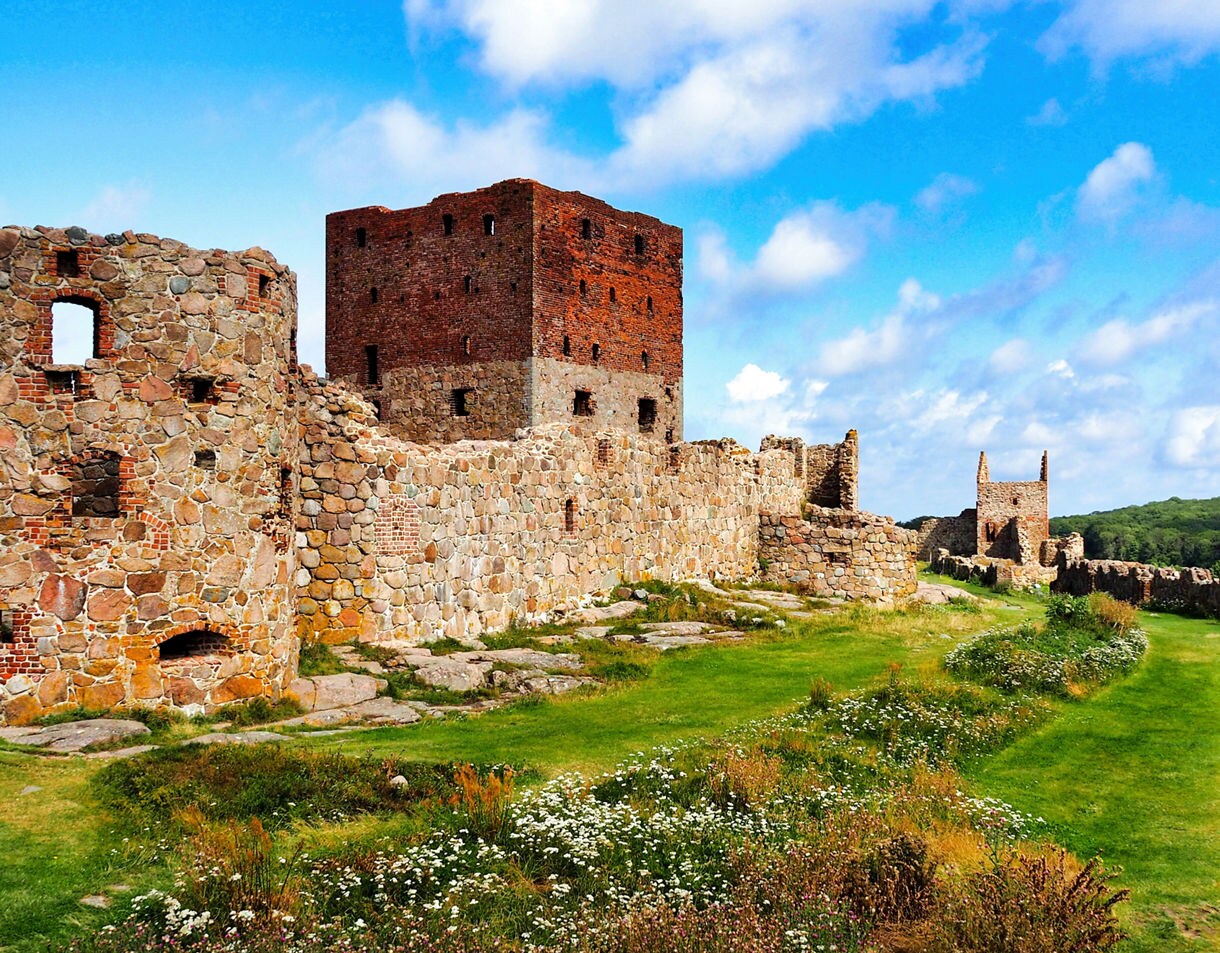 Panoramic view of Hammershus Fortress on Bornholm, showing weathered stone walls, a central brick tower and grassy paths surrounded by wildflowers under a bright blue sky.