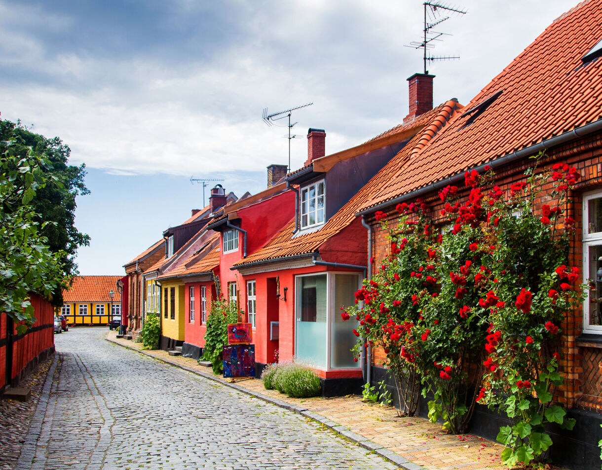 A charming cobblestone street in Bornholm with colorful houses featuring red tile roofs, brick walls and vibrant rose bushes growing along the facades.