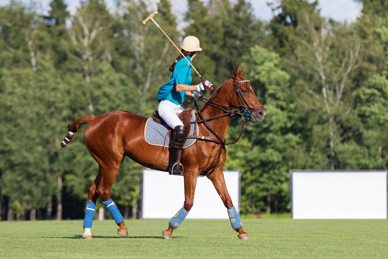 Polo player on horseback holding a mallet during practice on a grassy field.