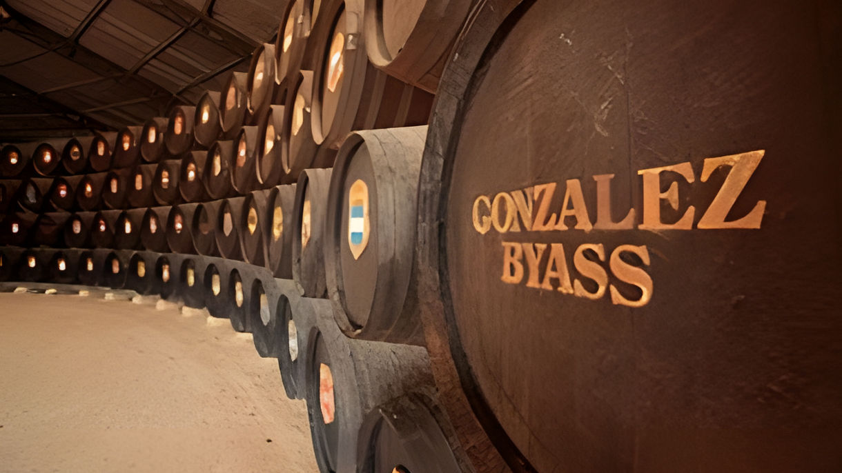 Andalusian Horse School & Sherry Tasting