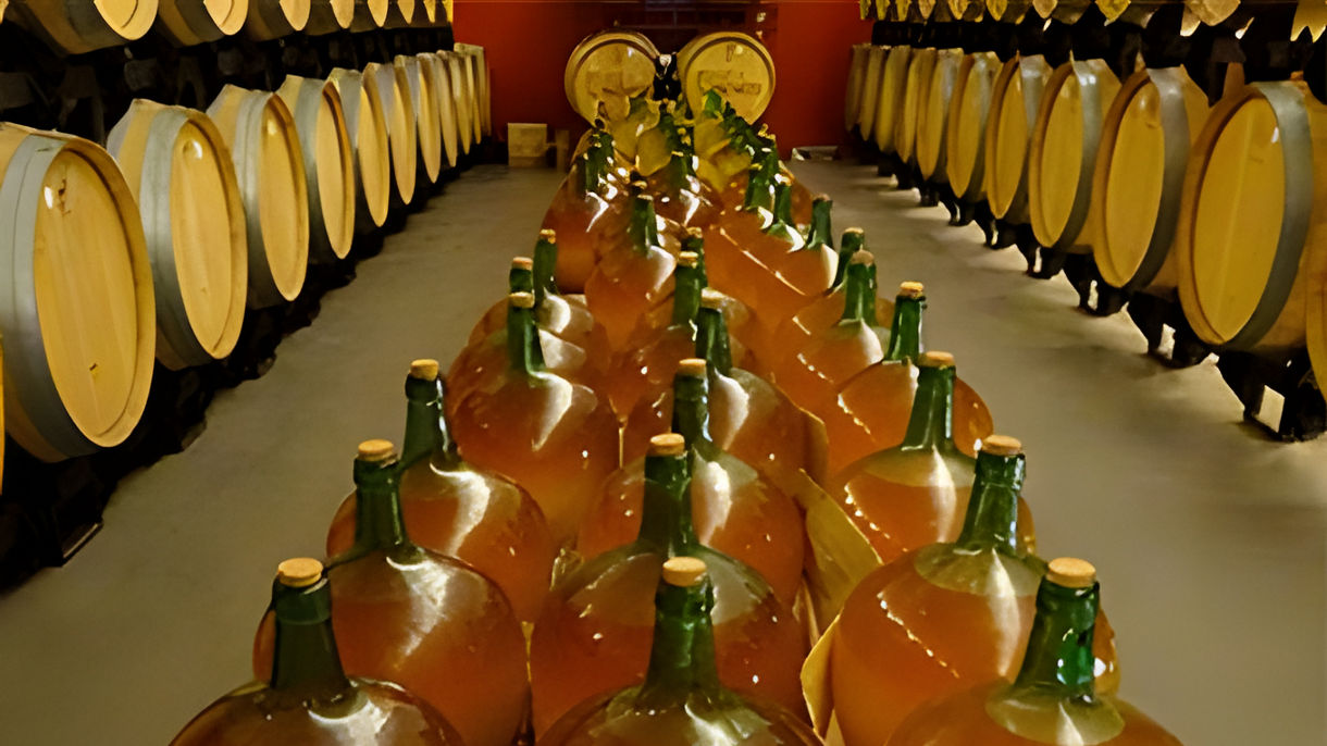 La Mancha, Jumilla & Wine Tasting