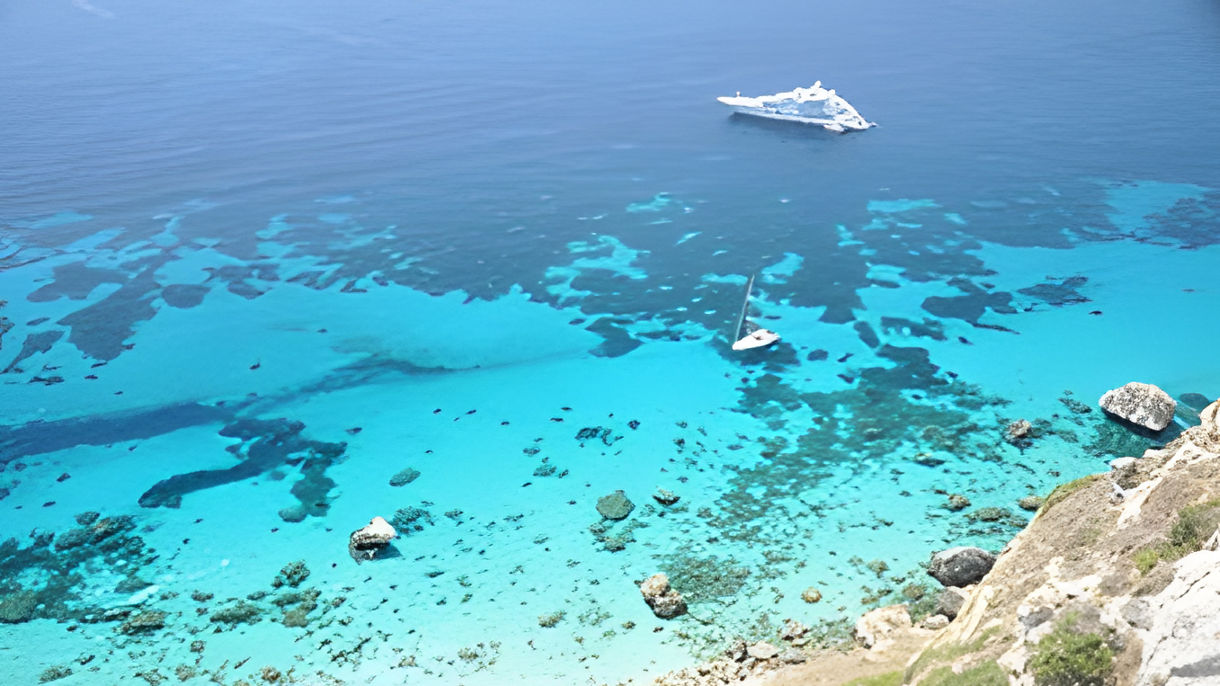 COASTAL CRUISE & SWIM