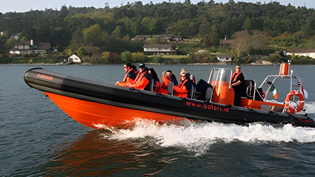 Local Connections: Cork Harbour Sea Safari