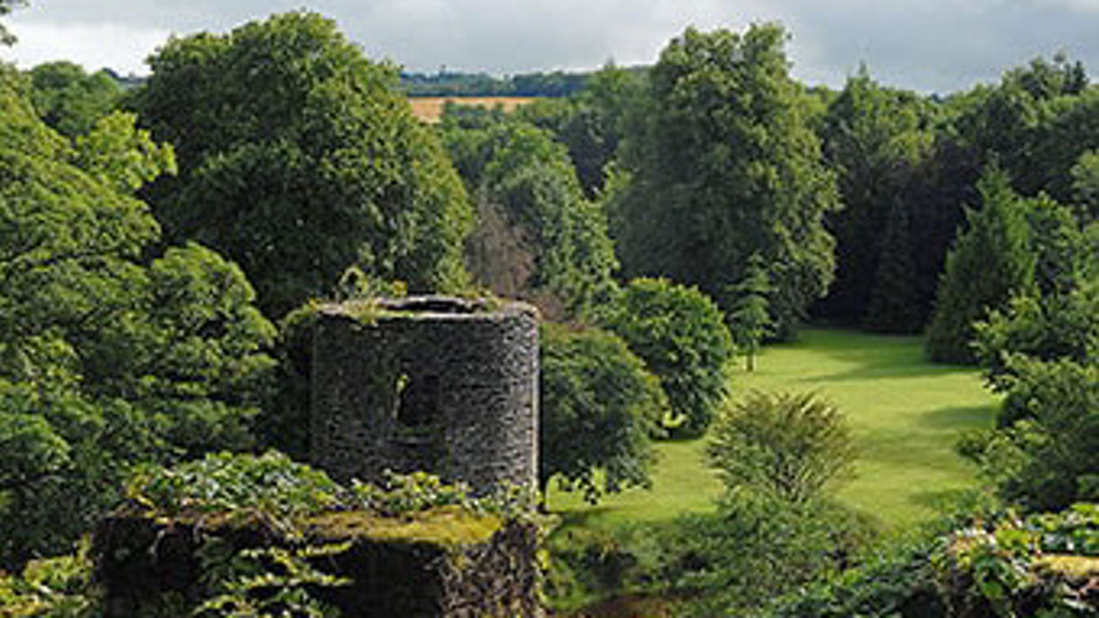 Cork by Private Vehicle - Car Class Half Day (With Guide)