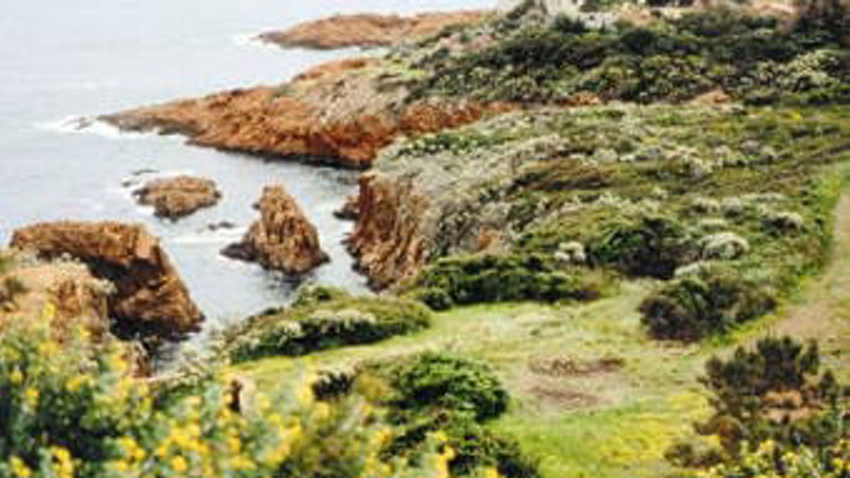 St. Tropez, Port Grimaud & Golden Corniche