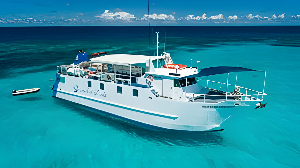Conflict Island Cruise