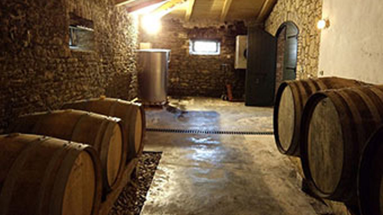 City Drive, Old Town & Wine Tasting